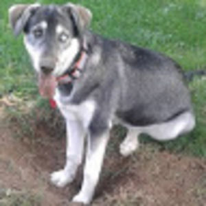 Meet your Posher, Ruth